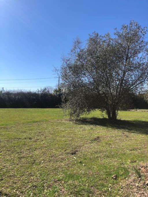 Gîte la Lezardière accès privé canal du midi ** Castelnaudary Esterno foto