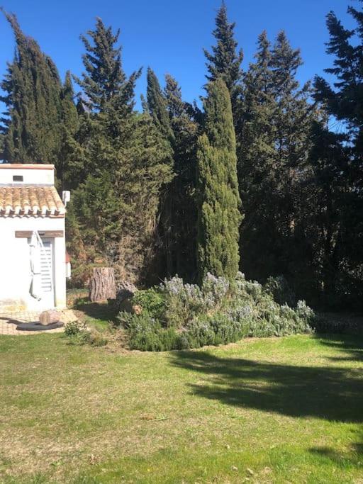 Gîte la Lezardière accès privé canal du midi ** Castelnaudary Esterno foto